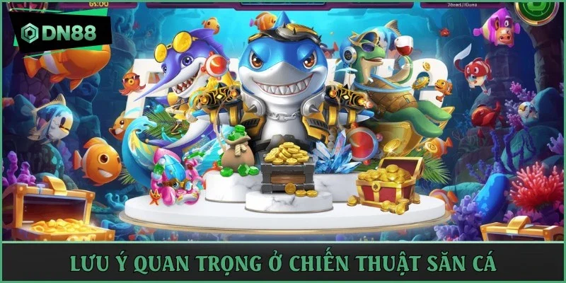 Lưu ý quan trọng ở chiến thuật săn cá
